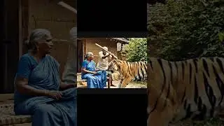 Unexpected Tiger Encounter Near a Rural Home 😱 #tiger