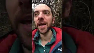 What I've managed to heal using yoga nidra #freedomfromanxiety   #winterwellbeing #yoganidra