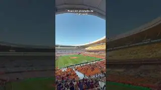REACCION A LA CARTUJA