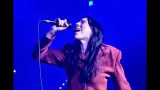 Dog Race - The Leader (Live @ Scala, April 2025) - 4k