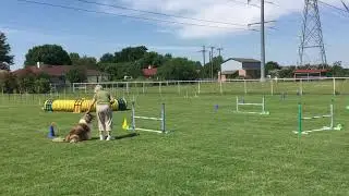 Cassi Dragotta 16-10018 Elite Jumpers Cow 05/10/20