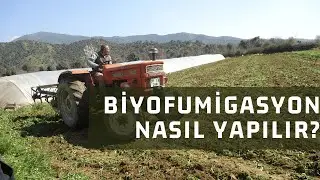 Biyofumigasyon nasıl yapılır?