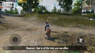PUBG MOBILE | Режим наблюдателя-компаньона! 🐶🤖