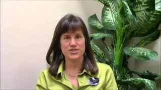 Valley View Window Cleaning - Recommended by Carla Allen of RE/MAX Integrity