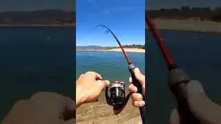 Пресная или соленая вода?