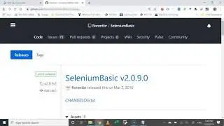 Contoling Chrome from VBA with Selenium