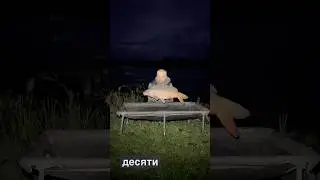 Роздача коропа в кінці жовтня #carpfishing #carp #короповаловля #fishing #fct