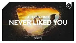 Aitor Blond - Never Liked You