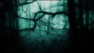 Type O Negative - Anesthesia (Guitar Cover)