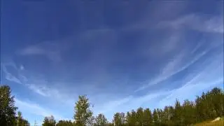 trex 250 2nd flight
