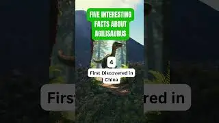 Five Interesting Facts About Agilisaurus #Agilisaurus #TriassicDinosaurs #SmallDinosaurs