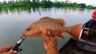 some thing big
