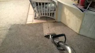Carpet cleaning fort myers fl(2)