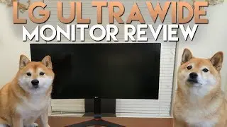LG UltraWide Monitor Review 144Hz (Zero Percent Sponsored, Seriously!)