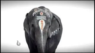 MBC BOLLYYWOOD LAUNCH CAMPAIGN - ELEPHANT