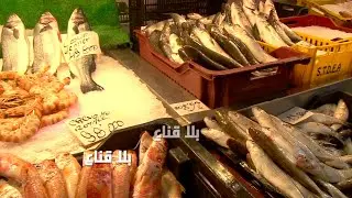 الزوالي غاطس في غصرة العيد وهارب من الحوت..لكن لماذا تم منع اصطياد السردينة وبيعها للمواطن؟!