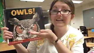 STEAM at Home: Owl Pellets