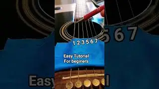 House of the rising sun Easy Guitar tutorial #music