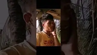 paibot ko kol.mp4