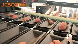 Sweet potato optical sorting line, sweet potato sorting machine, sweet potato color sorting machine