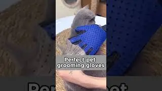 Our grooming glove keeps your pet happy and your home hair-free.Try it now link in bio.