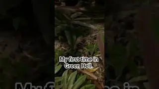 #greenhell #greenhellindonesia #greenhellgameplay #gamersofinstagram #gameplays