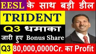 Trident Q3 result 2023 |Trident share news|Trident share latest news today|Trident news|Trident Q3