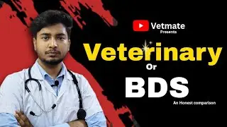 BDS vs Veterinary | which is better?| Honest comparison #career #bds #veterinary #scope #vs #ytvideo