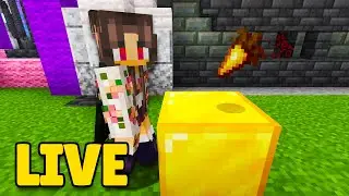 LIVE op de Pixelburen server! iets met een hal afmaken ofso...