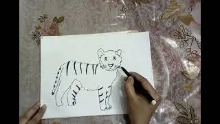 how to draw tiger easy drawing for beginers #learnandteach
