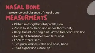 First Trimester Ultrasound Markers of Fetal Chromosomal Defects