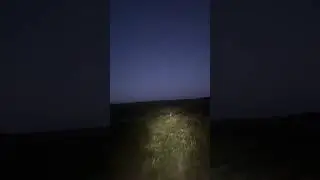Заєць