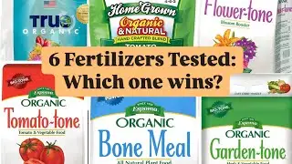What granular fertilizer works best for growing potatoes?