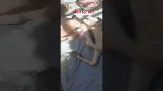 local goth cutting #trending #youtubeshorts #viral #shorts