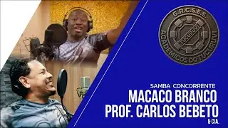 Tucuruvi 2026 - Macaco Branco, Prof. Carlos Bebeto & Cia. (Samba Concorrente)