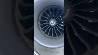 Amazing 787 engine close up
