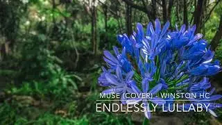 Muse - Endlessly Lullaby // Winston HC Cover