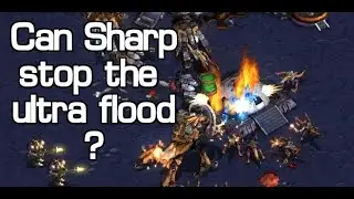 Sharp 🇰🇷 (T) v Timeisgold! 🇰🇷 (Z) on Deja Vu! - StarCraft  - Brood War 2026