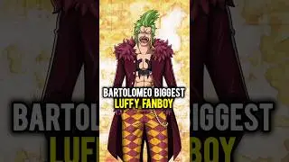 Bartolomeo biggest Luffy fanboy | One Piece