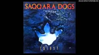 Saqqara Dogs - Grave of Love