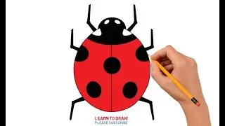 How To Draw a Ladybug Step By Step Easy For Kids