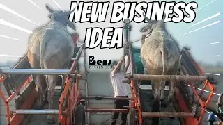 Business ideas | small business ideas | new business ideas | best business ideas | unique business