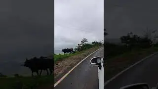 saputara road trip