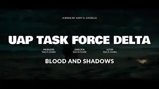 UAP TASK FORCE DELTA   COMMERCIAL NR 4