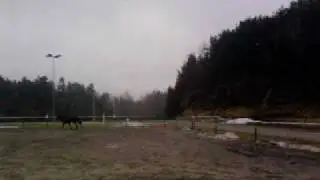 Loosejumping with Adventure