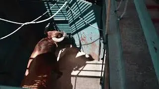 Desembarque y sorteo de los toros de Montealto y Cebada Gago para la Primera Final de la Copa Chenel