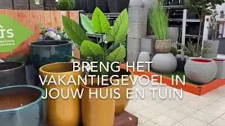 Sfeer in Floralux Dadizele mei 2020