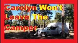 Van Life Causes Strange Behavior RV Living Full Time / Nomad