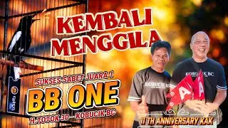 TRETES KLU UDAH KONSLET MEWAH BANGET🔸BB ONE SUKSES SABET JUARA 1🔸H.TOTOK 3D KOBUCIK BC