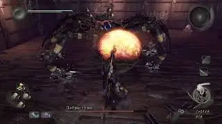 Spider bitch